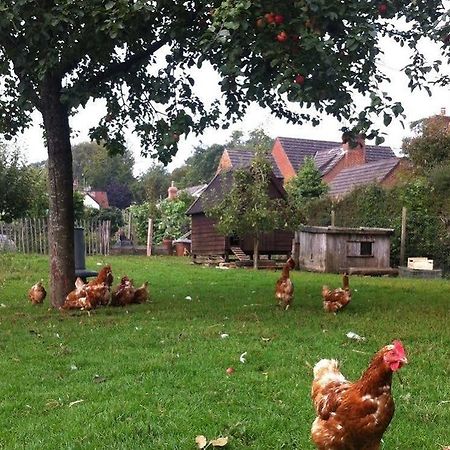 Cider Cottages Burley Dış mekan fotoğraf