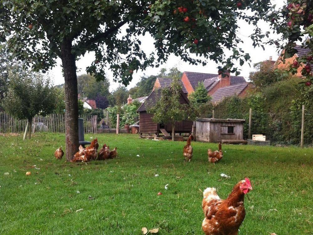 Cider Cottages Burley Dış mekan fotoğraf